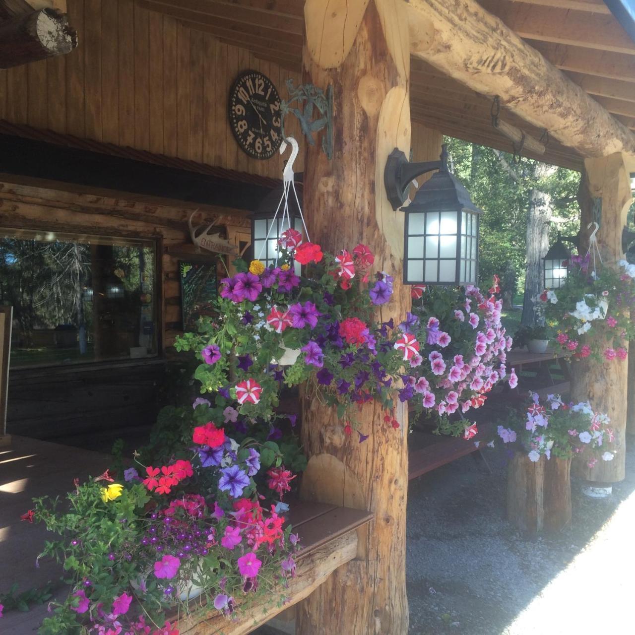 Tetsa River Lodge 外观 照片
